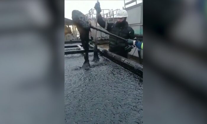 Türkiye-Suriye sınırında petrol keşfedildi!.