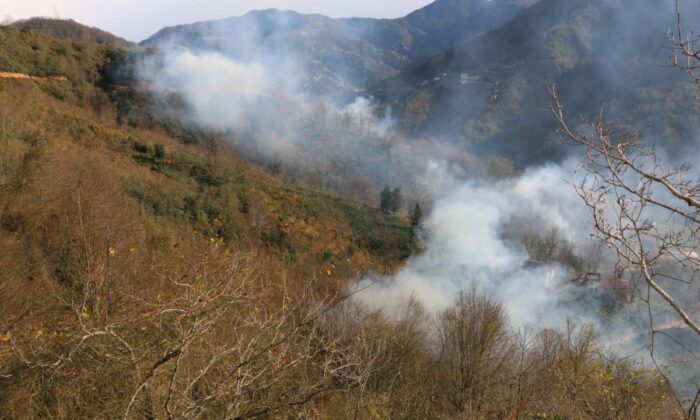 Trabzon’da 4 ayrı noktada orman yangını..
