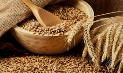 Bir zam haberi de ekmeklik buğday ve arpadan geldi!.