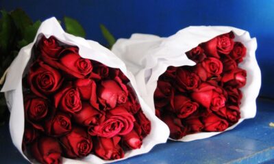 Bu da kapitalizmin zam kazığı!. Sevgililer Günü’nde gülün tanesi 30-40 TL!.