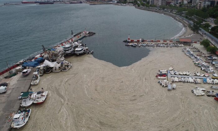 Şovmen Ekrem’in müsilaj pisliği yeniden denizleri kaplamaya başladı!.
