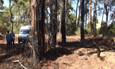 Ormanlarımızı ateşe veren PKK’lı şerefsizin cezası belli oldu!.