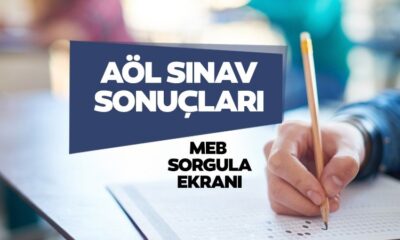AÖL online sınav sonuçları açıklandı!. 2022 AÖL sınav sonuçları sorgulama ekranı..