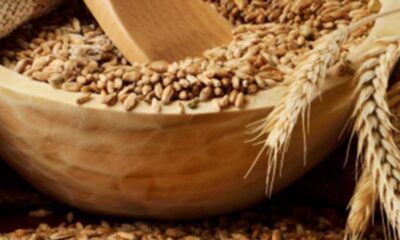 Rusya-Ukrayna savaşı sonrası buğday fiyatları zamlanacak mı?.