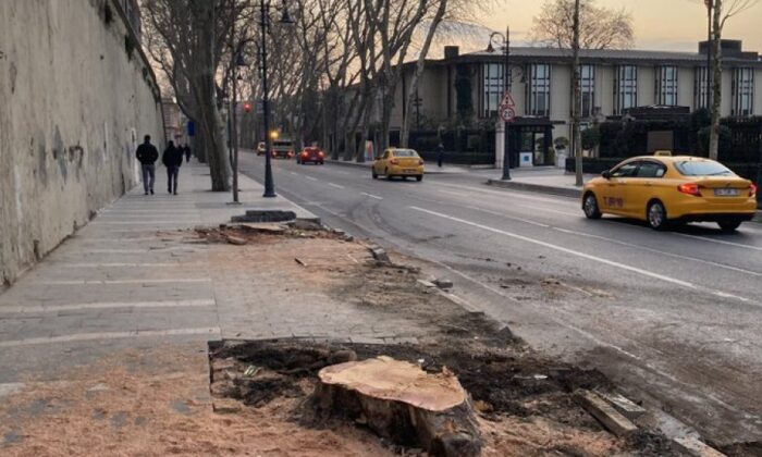 3 ağaç için darbeye kalkışan it köpek takımı neredesiniz!. Ekrem 112 ağacı kökünden kesti!.