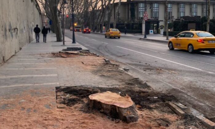 İBB’nin ağaç katliamına sessiz kalan ikiyüzlü çakma çevreciler!.