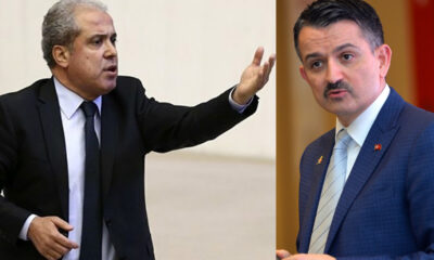 Şamil Tayyar’dan istifa eden Bekir Pakdemirli hakkında zehir zemberek sözler!.