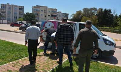 İzmir’de pitbull dehşeti..