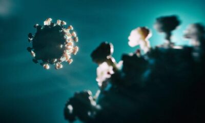 Türkiye’nin 23 Nisan Covid-19 raporu açıklandı!.