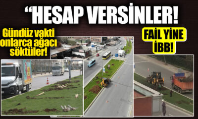 İBB ekipleri gündüz vakti onlarca ağaç söktü, Gezicilerden ses seda yok!.