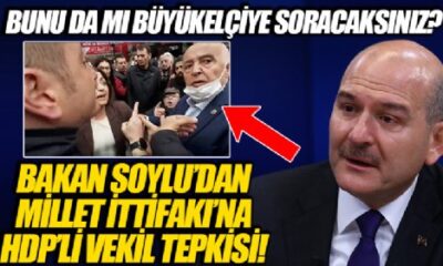 Süleyman Soylu’dan Millet İttifakı’na HDP’li  Piroğlu tepkisi! “Bunu da mı büyükelçiye soracaksınız?.”