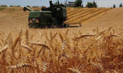 Destek ödemeleri hesaplara yatıyor!.