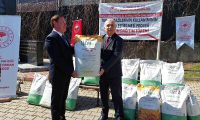 Ayçiçeği ithalatına karşı yerli tohum atağı! Devletten üreticiye 2 buçuk ton hibrit tohum..