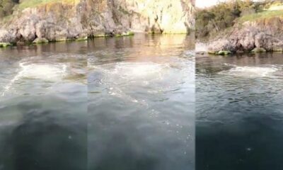 Heybeliada’da İSKİ’ye ait deniz deşarj hattı patladı, lağım suyu denize karıştı!.