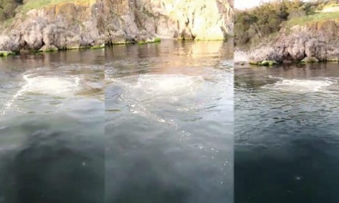 Heybeliada’da İSKİ’ye ait deniz deşarj hattı patladı, lağım suyu denize karıştı!.