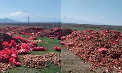 40 ton kuru soğanı boş arazilere döktüler, soruşturma başlatıldı!.