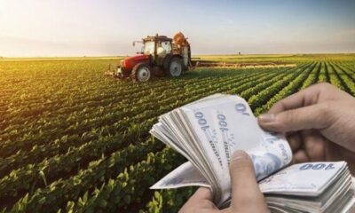 25 milyon 414 bin 535 TL’lik tarımsal destek ödemeleri hesaplara aktarılıyor!.