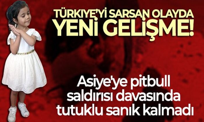 Asiye’ye pitbull saldırısı davasında tutuklu sanık kalmadı!.