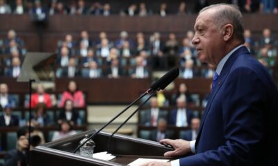 İstanbul’un yeni millet bahçesinde ilk fidan 29 Mayıs’ta dikilecek!.