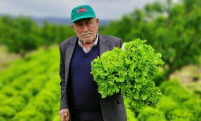 Tarla da 2 lira pazar da 10 lira!.