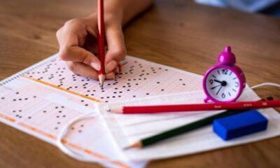 2022 LGS sınava giriş belgeleri erişime açıldı!. 2022 LGS sınava giriş belgesi sorgulama ekranı..