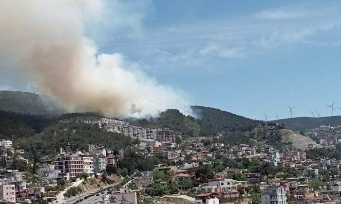 Hatay’da orman yangını..