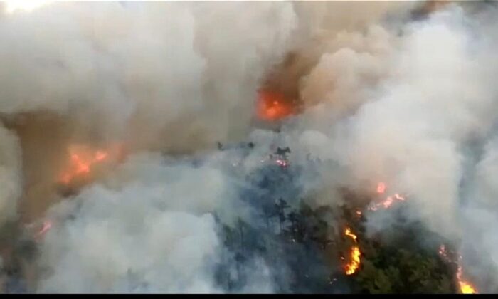 Marmaris’te orman yangını..
