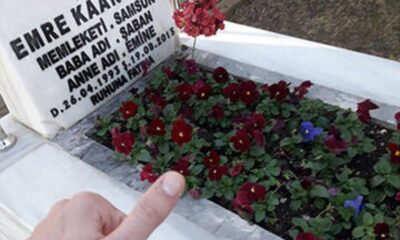 Şehit mezarlarına PKK yazıp küfürler savuran hain it mahkeme tarafından serbest bırakıldı!.