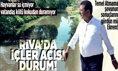 Riva’da rezalet! Pislik denize akıyor, vatandaş tepkili…