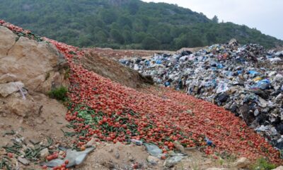 Antalya’da çöpe dökülen sebzelerle ilgili açıklama..