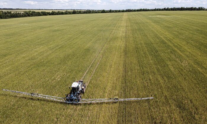Ukrayna tahılının dağıtımında Fransa’dan Türkiye’nin planına itiraz..