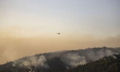 Marmaris orman yangınında gözaltı..