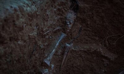 Polonya’da 17,5 ton kül, en az 8 bin cesedin olduğu toplu mezar bulundu!.