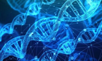 DNA verileriniz biyolojik silah için kullanılabilir!.