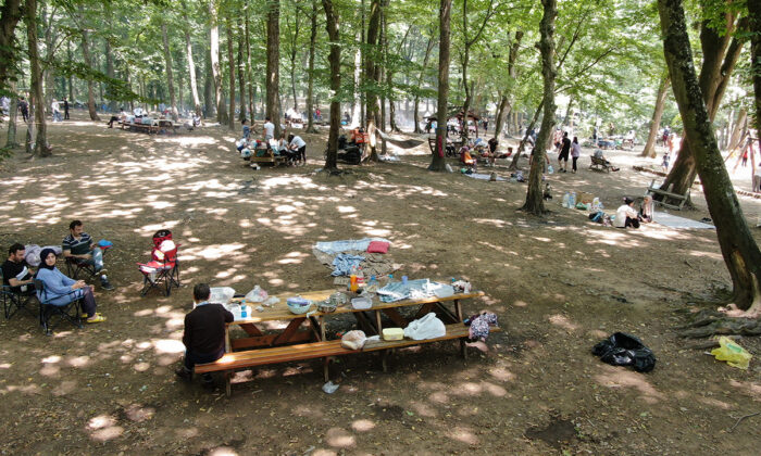 İstanbul’da ormanlara giriş yasaklandı!.