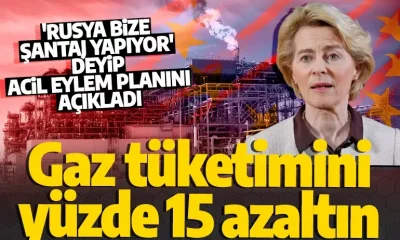Avrupa çetin bir kışa hazırlanıyor! AB, ülkelerden doğalgazı yüzde 15 azaltmalarını istedi!.