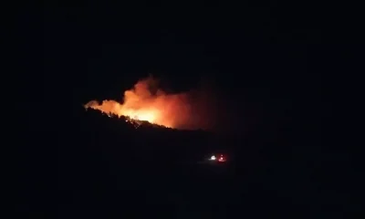 Adana’da orman yangını! Ekipler müdahale ediyor!.