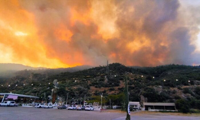 Aydın’da orman yangını! Havadan ve karadan müdahale ediliyor!.