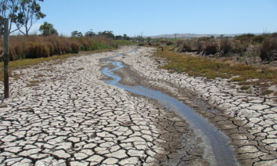 Fransa’yı kuraklık vurdu!. 86 bölgede su kullanımı kısıtlandı!.