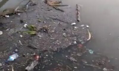 Haliç’in içler acısı hali.. Çöpler kıyıya vurdu!.