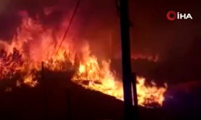 İspanya’da yangın kabusu büyüyor! Bölgeden tahliye edilenlerin sayısı 3 bini geçti!.