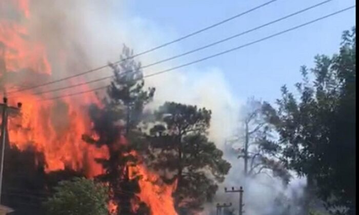 Marmaris’te orman yangını..