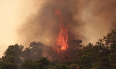 Meteoroloji’den Muğla’ya orman yangını uyarısı..