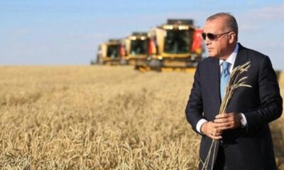 Eski Pentagon Müsteşarı: “Erdoğan Nobel Barış Ödülü’ne aday gösterilmeli..”