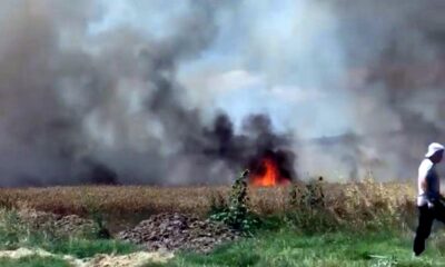 Tekirdağ’da buğday tarlası yandı, 50 dönüm alan kül oldu!.