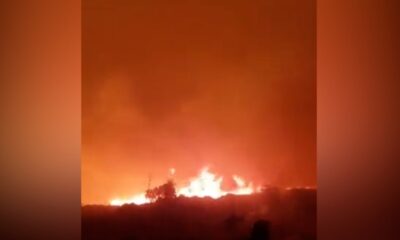 Yunanistan’da dehşet! Midilli Adası’ndaki orman yangını evlere sıçradı!.