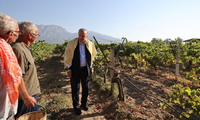 Cumhurbaşkanı Erdoğan, kuru üzüm taban fiyatını açıkladı!.