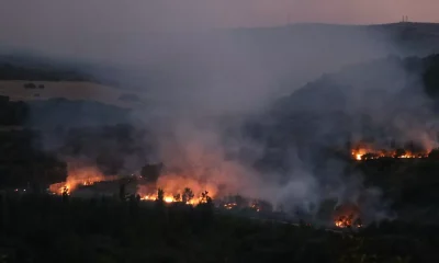 Bulgaristan’daki Edirne’yi tehdit eden orman yangını büyüyor!.