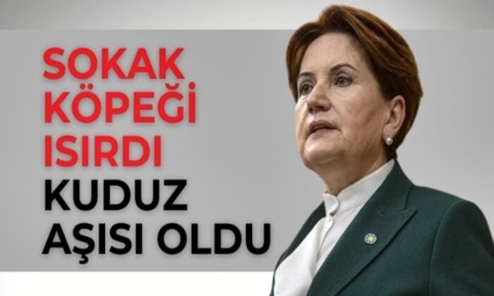 Sokak köpeği tarafından ısırılan Meral Akşener, kuduz aşısı yaptırdı!.