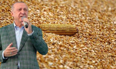 Cumhurbaşkanı Erdoğan mısır alım fiyatını açıkladı!.